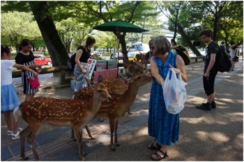 august-2016-toyotomi