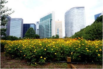 august-2016-toyotomi