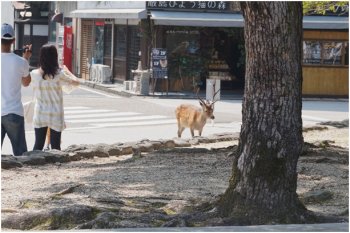 august-2016-toyotomi