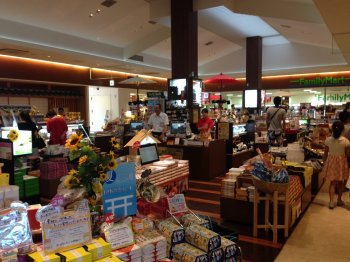Eien japanische Raststätte // A japanese service area basic-2017-raijin