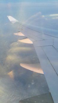 Auf nach Japan basic-october-2016