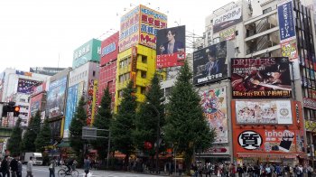 Akihabara basic-october-2016