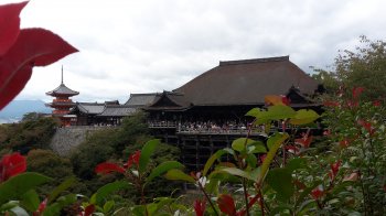 Haupthalle des Kiyomizu basic-october-2016