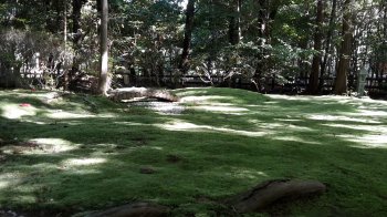 Moosgarten basic-october-2016