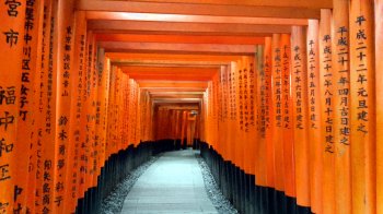 Allee aus roten Torii basic-october-2016
