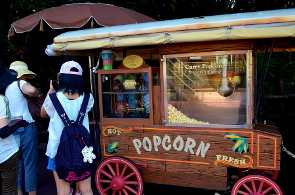 japanisches Popcorn, Curry Geschmack